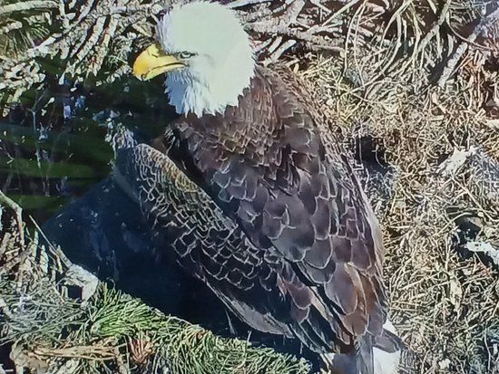 Ormond Beach Environmental Discovery Center